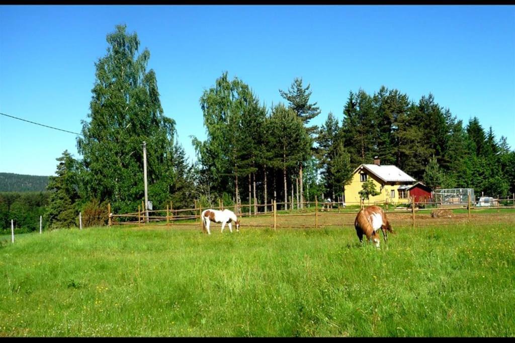 Little Forest House "Our Little Farm" Eksharad Bagian luar foto